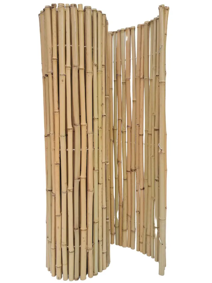 Ein Rollzaun aus Bambus.