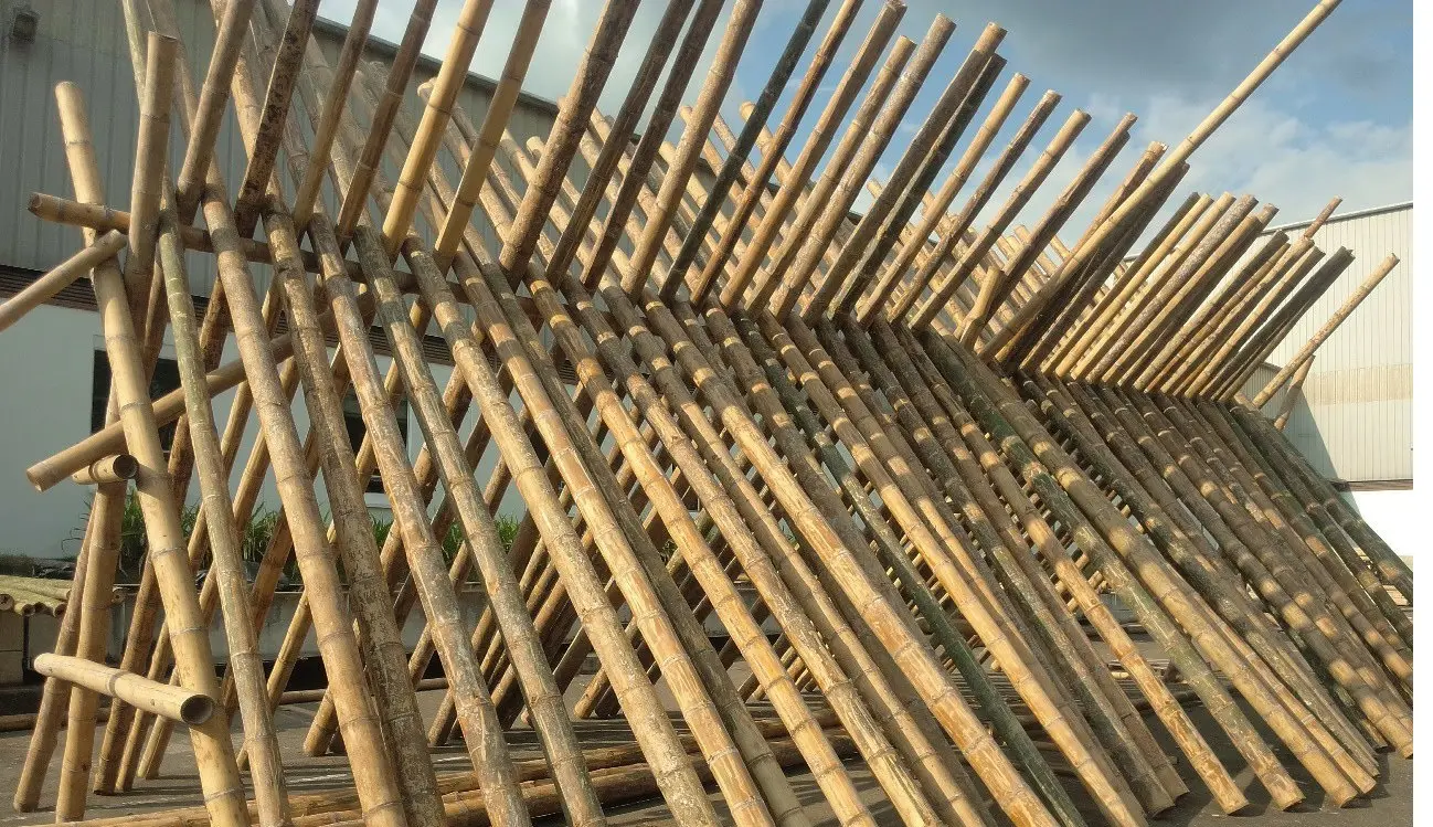 Bambusstangen 12/14cm 3 bis 6mtr